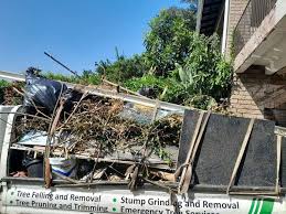 Best Recycling Services for Junk  in Kurtistown, HI