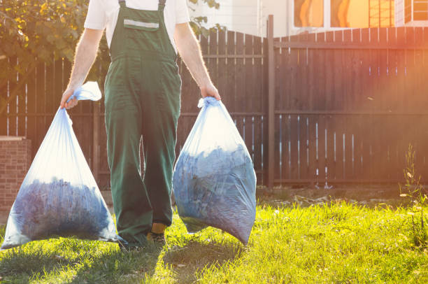 Best Same-Day Junk Removal Services  in Kurtistown, HI